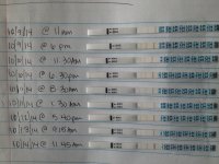 20141014_153608.jpg