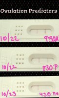 Collage 2014-10-23 17_14_09.jpg