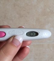 opk2.jpg
