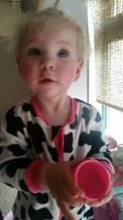 cow.jpg
