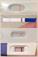 8dpo1.jpg