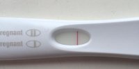 12dpo4.jpg