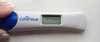12dpo3.jpg