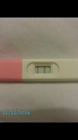 opk1nov.jpg