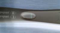 FRER 11 12 14 5.jpg