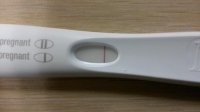 FRER 11 12 14 4.jpg