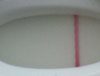 2014-11-20 09.06.15.png