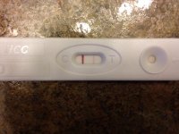 photo (4).jpg