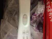 IMG_4338[1].jpg
