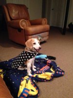IMG_1285.jpg