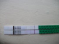 original 2.jpg