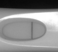 frer.jpg