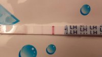 2014-12-09 11.14.59.jpg