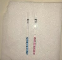 12-10-14 9dpo with opk.jpg