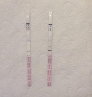 12-13-14 12dpo (right, fmu).jpg