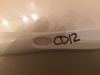 OPKCD12.jpg