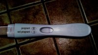 11dpo.jpg
