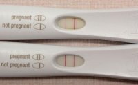 TestFRER.jpg