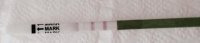 cd152.jpg