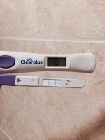 cd15.jpg