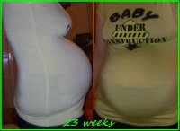 23_weeks_600x439.jpg