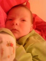 DSC06125.jpg