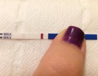 5dpo.jpg
