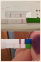5dpo1.jpg