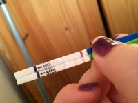 5dpo4.jpg