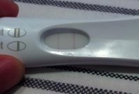 FRER 16dpo - Oct. 11.2014.jpg