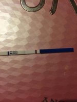 8dpo2.jpg