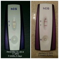 b32cfc0c-1769-4cc9-83fe-6e791a5ba7e9.jpg