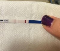 11dpo4.jpg