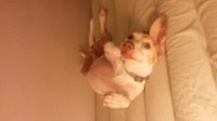 20140726_003308.jpg