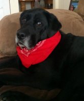 IMG_0846.jpg