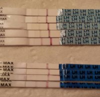 OPK.jpg