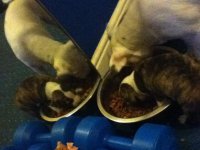 IMG_0021[1].jpg