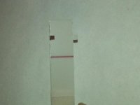 20150113_115042.jpg