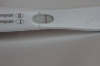 test1 10dpo.jpg