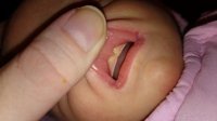 DSC_0165.jpg