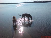 DSC00089.jpg