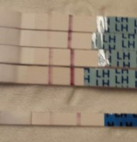 2015-02-09 09.09.17.jpg