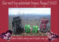 Babies Announcement.JPG
