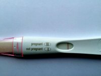 FRER 3.75dp5dt.jpg
