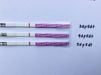 5dp5dt - Sure Predict.jpg