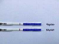 5dp5dt - Navy Handle IC.jpg