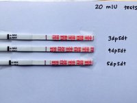 5dp5dt - Wondfo.jpg