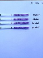 6dp5dt - Sure Predict.jpg