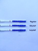 6dp5dt - Navy Handle.jpg