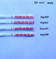 6dp5dt - Wondfo.jpg
